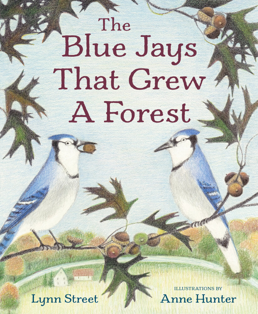 The Blue Jays That Grew a Forest (Lynn Street)