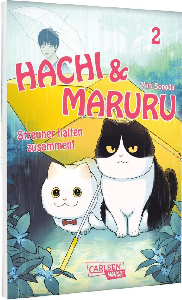 Hachi & Maruru - Streuner halten zusammen! 2 (Yuri Sonoda)