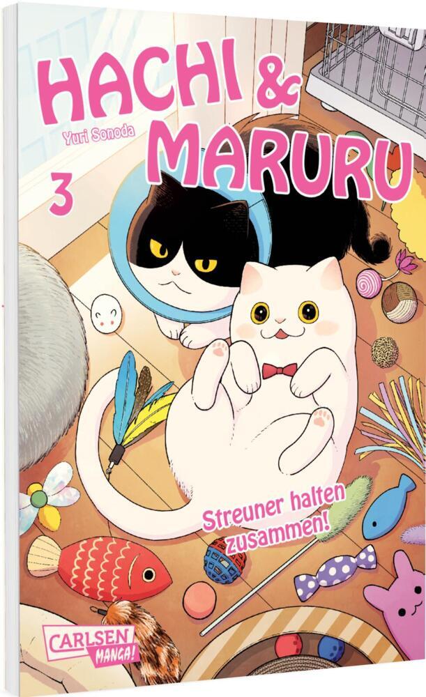Hachi & Maruru - Streuner halten zusammen! 3 (Yuri Sonoda)