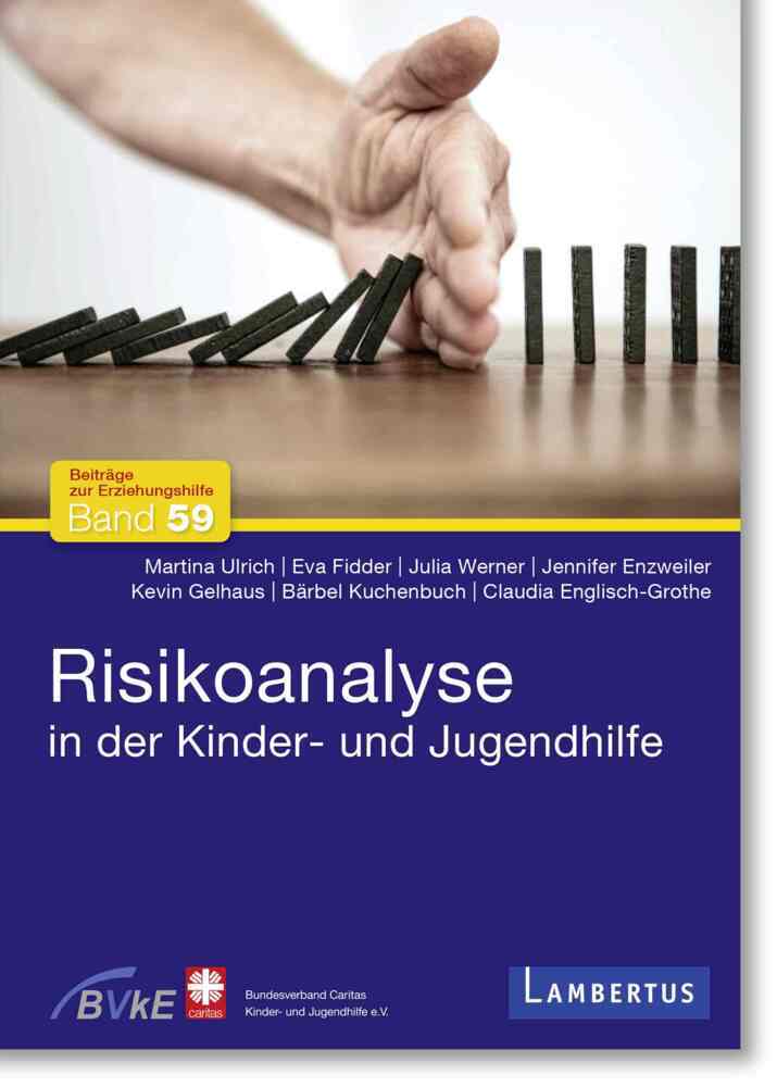 Risikoanalyse in der Kinder- und Jugendhilfe (Martina Ulrich)