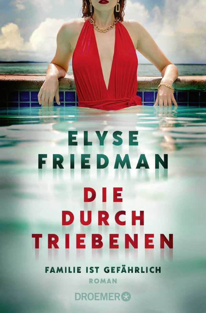 Die Durchtriebenen (Elyse Friedman)