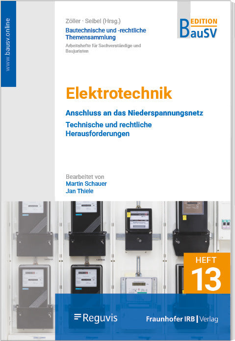 Elektrotechnik: Anschluss an das Niederspannungsnetz (Martin Schauer)