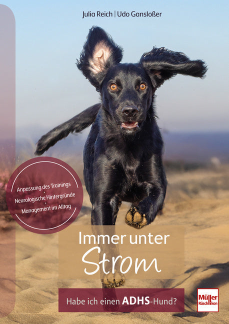 Immer unter Strom (Udo Gansloßer)