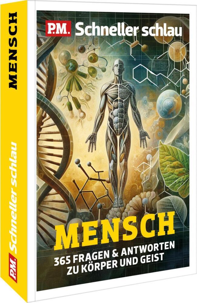 P.M. Schneller Schlau MENSCH (Minerva Fois)