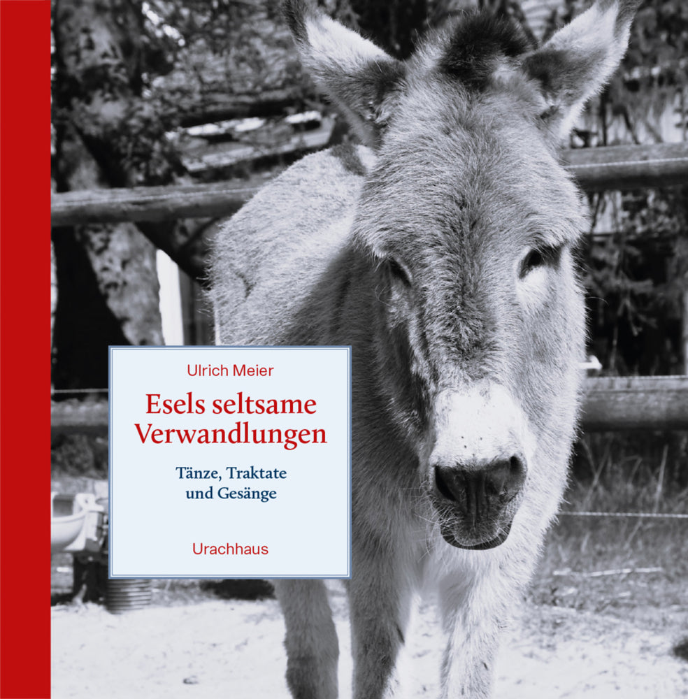 Esels seltsame Verwandlungen (Ulrich Meier)