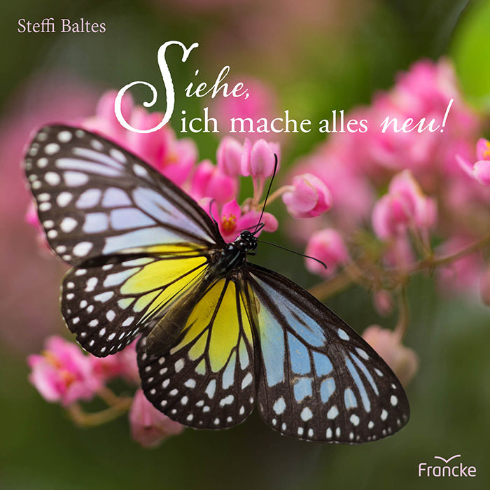 Siehe, ich mache alles neu! (Steffi Baltes)