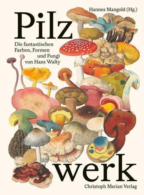 Pilzwerk (Hannes Mangold)