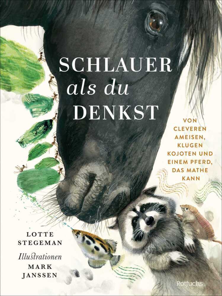 Schlauer, als du denkst (Lotte Stegeman)