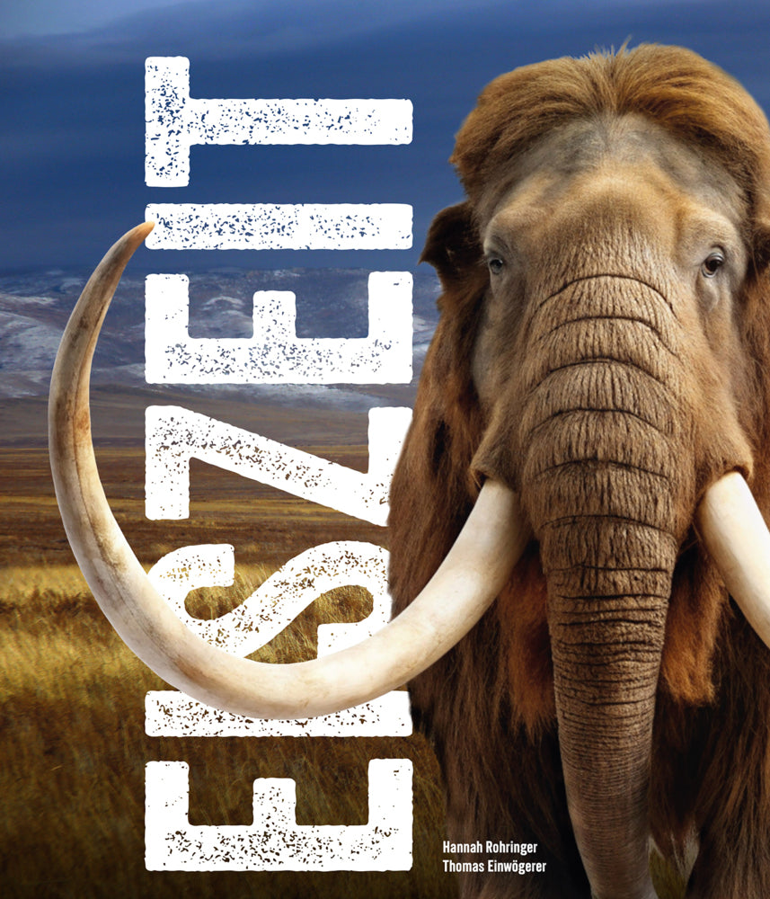 Eiszeit - Ice Age (Hannah Rohringer)
