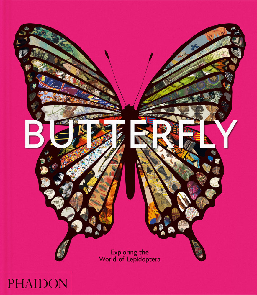 Butterfly: Exploring the World of Lepidoptera (2025) (David .G James)