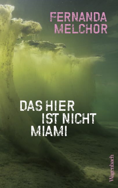 Das hier ist nicht Miami (Fernanda Melchor)