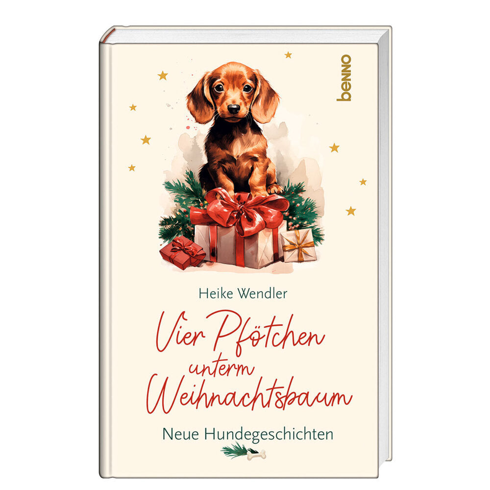Vier Pfötchen unterm Weihnachtsbaum (Heike Wendler)