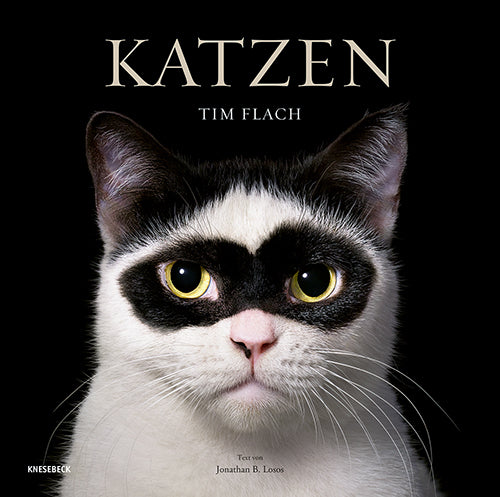 Katzen (Tim Flach)
