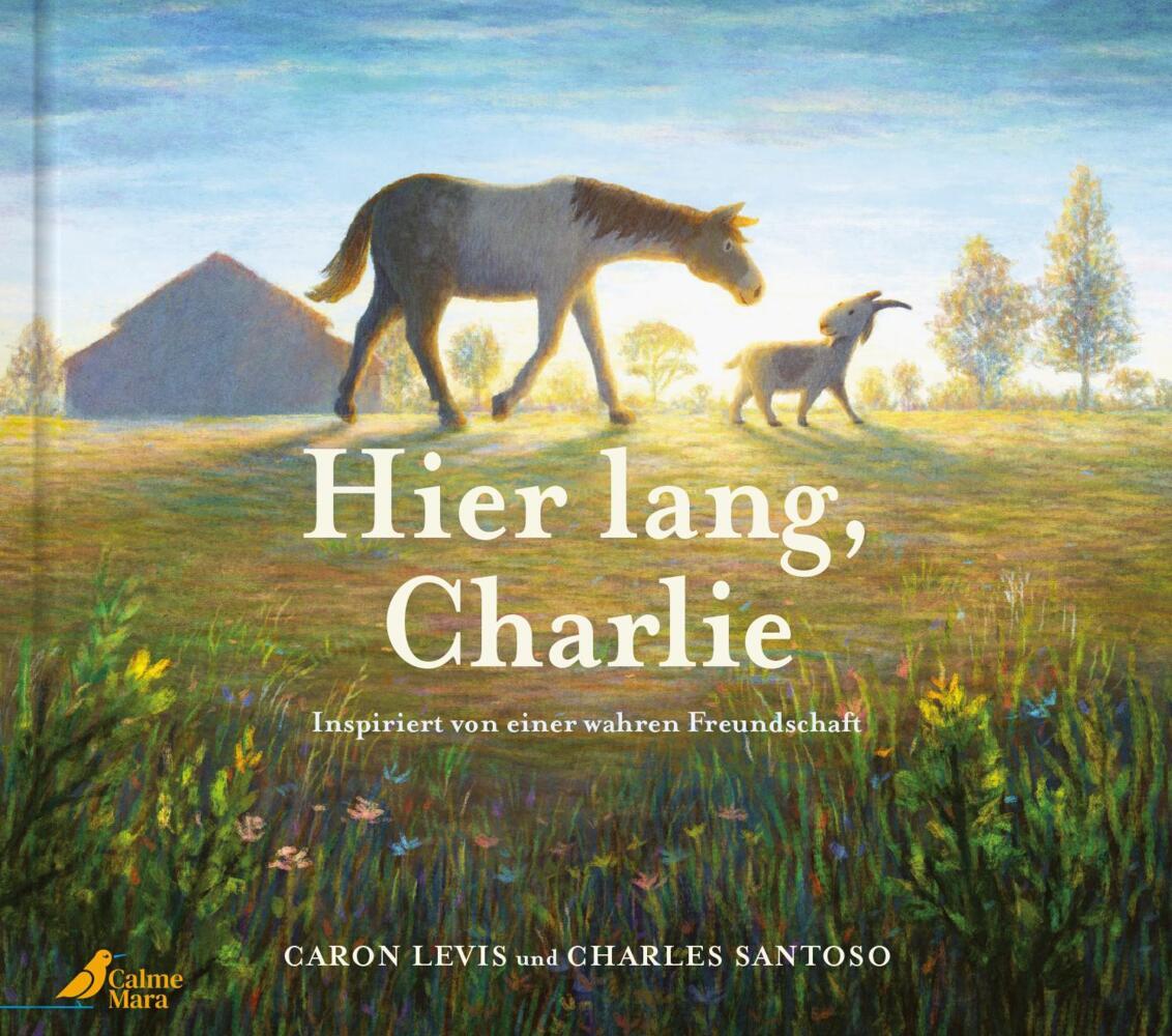 Hier lang, Charlie (Caron Levis)