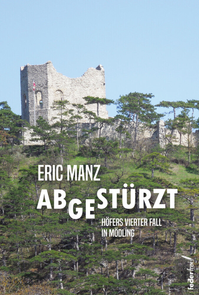 Abgestürzt (Eric Manz)