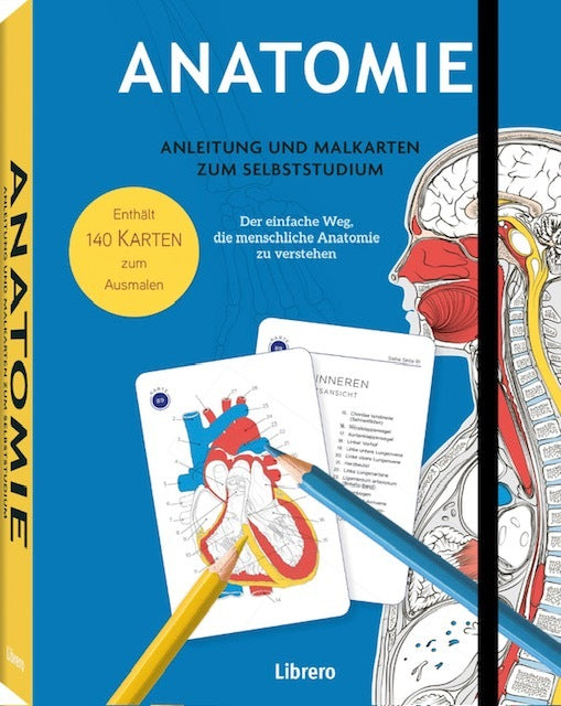Anatomie - Anleitung und Malkarten zum Selbststudium (Gary Sacks)