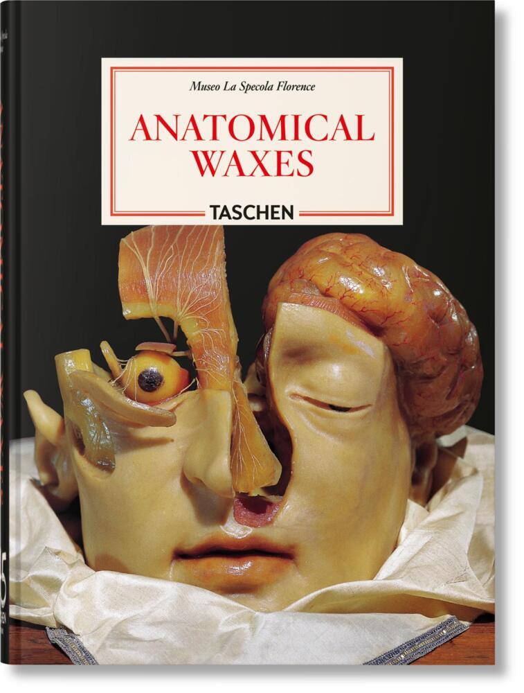 Anatomical Waxes (Marta Poggesi)