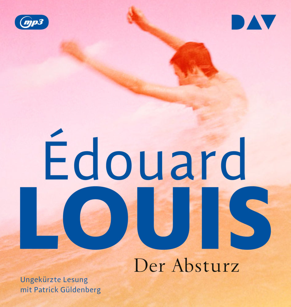 Der Absturz, 1 Audio-CD, 1 MP3 (Édouard Louis)