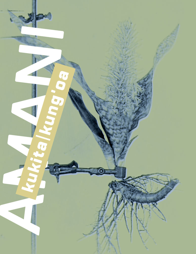 Amani (Rehema Chachage)