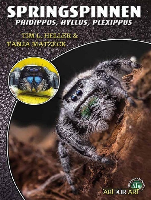 Springspinnen (Tim L. Heller)
