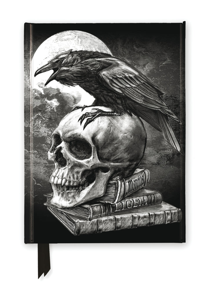 Premium Notizbuch DIN A5: Alchemie, Edgar Ellen Poe's Rabe (Flame Tree Publishing)