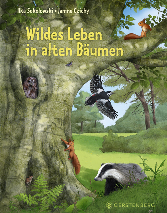 Wildes Leben in alten Bäumen (Ilka Sokolowski)