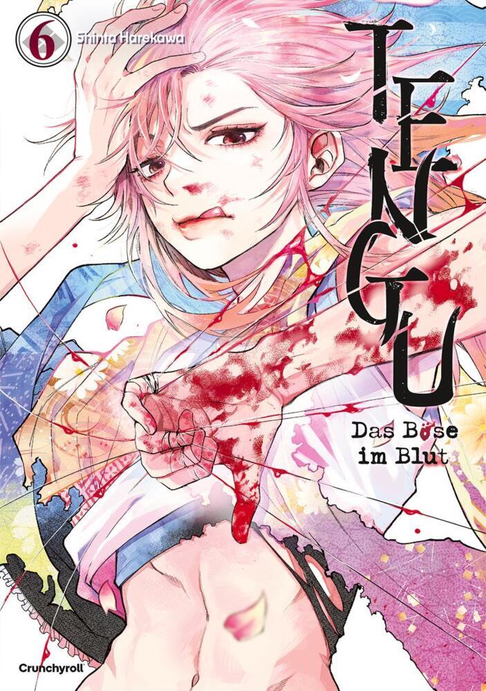 Tengu - Das Böse im Blut - Band 6 (Shinta Harekawa)
