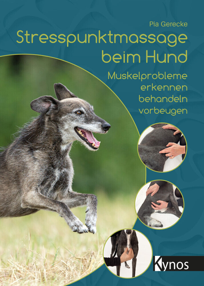 Stresspunktmassage beim Hund (Pia Gerecke)