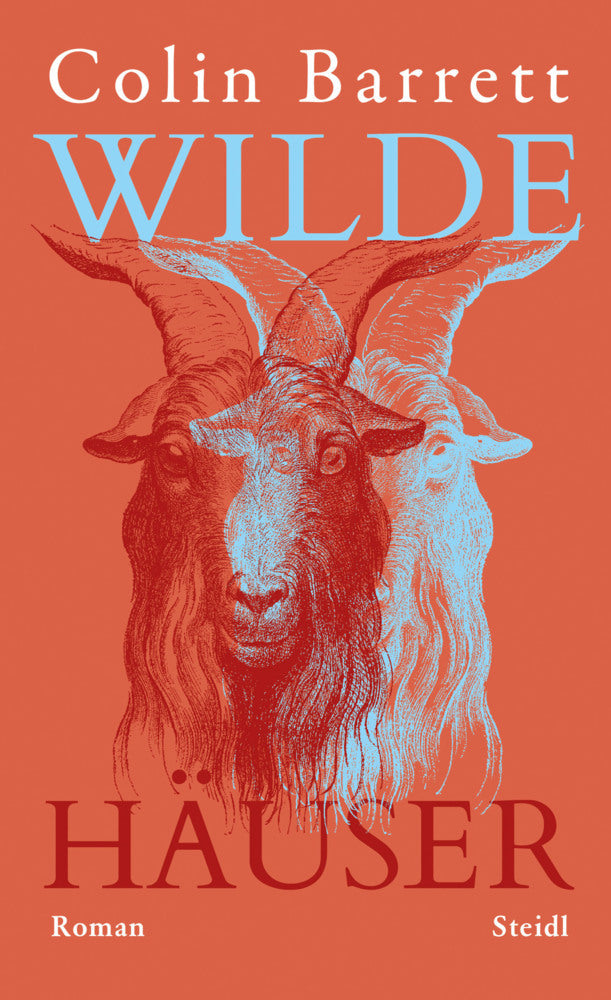 Wilde Häuser (Colin Barrett)