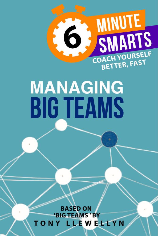 6-Minute Smarts: Managing Big Teams (Tony Llewellyn)