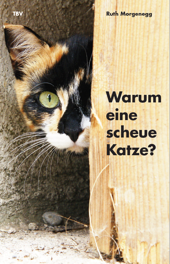 Warum eine scheue Katze? (Ruth Morgenegg)