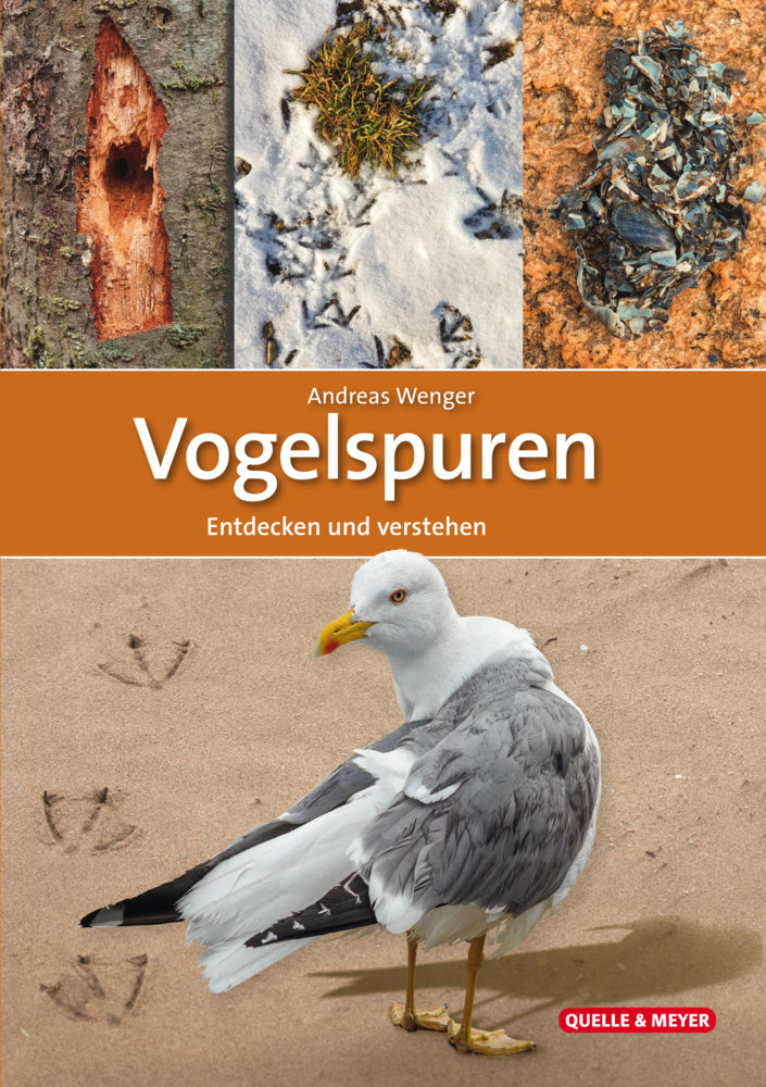 Vogelspuren (Andreas Wenger)