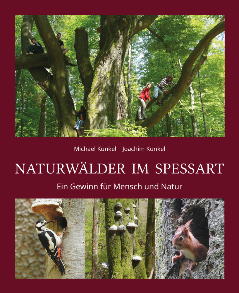 Naturwälder im Spessart (Joachim Kunkel)