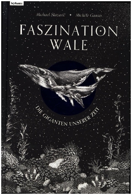 Faszination Wale - Die Giganten unserer Zeit (Michael Stavaric)