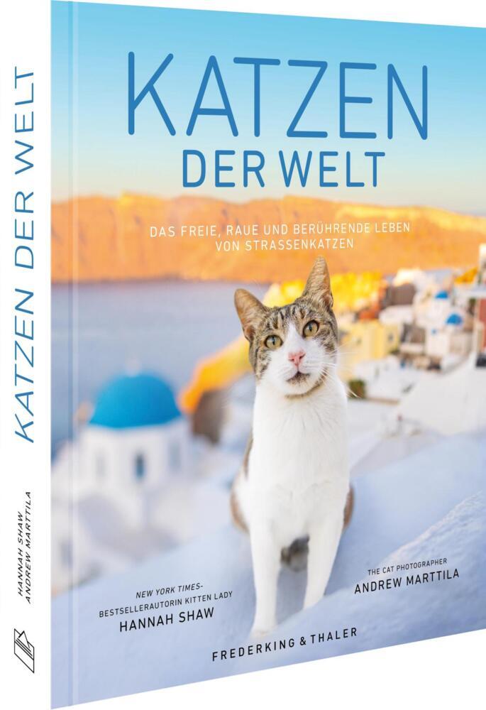 Katzen der Welt (Hannah Shaw)