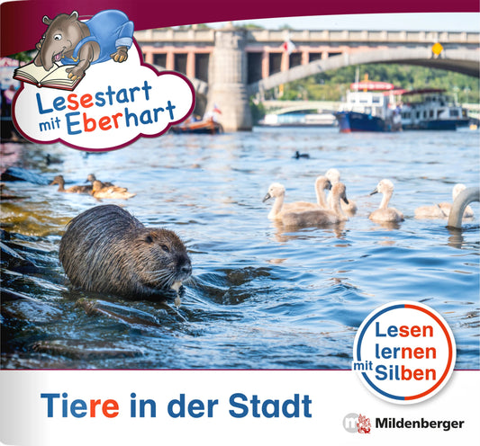 Lesestart mit Eberhart: Tiere in der Stadt (Nicole Brandau)