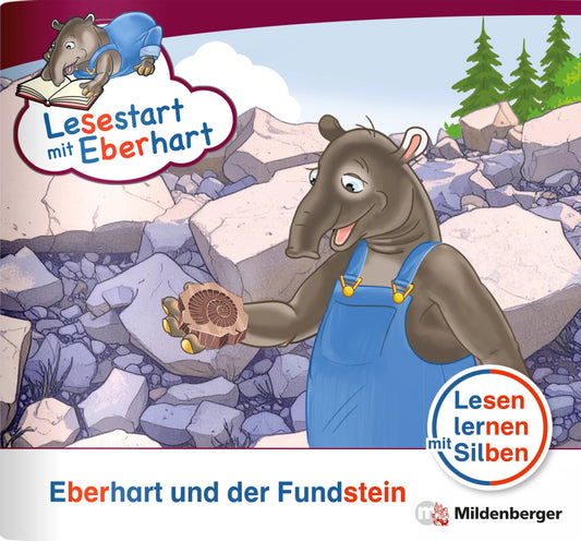Lesestart mit Eberhart: Eberhart und der Fundstein (Nicole Brandau)