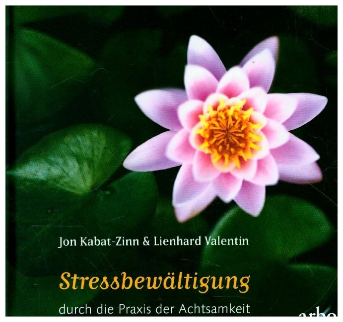 Stressbewältigung durch die Praxis der Achtsamkeit (Jon Kabat-Zinn)