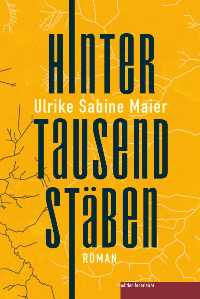 Hinter tausend Stäben (Ulrike Sabine Maier)