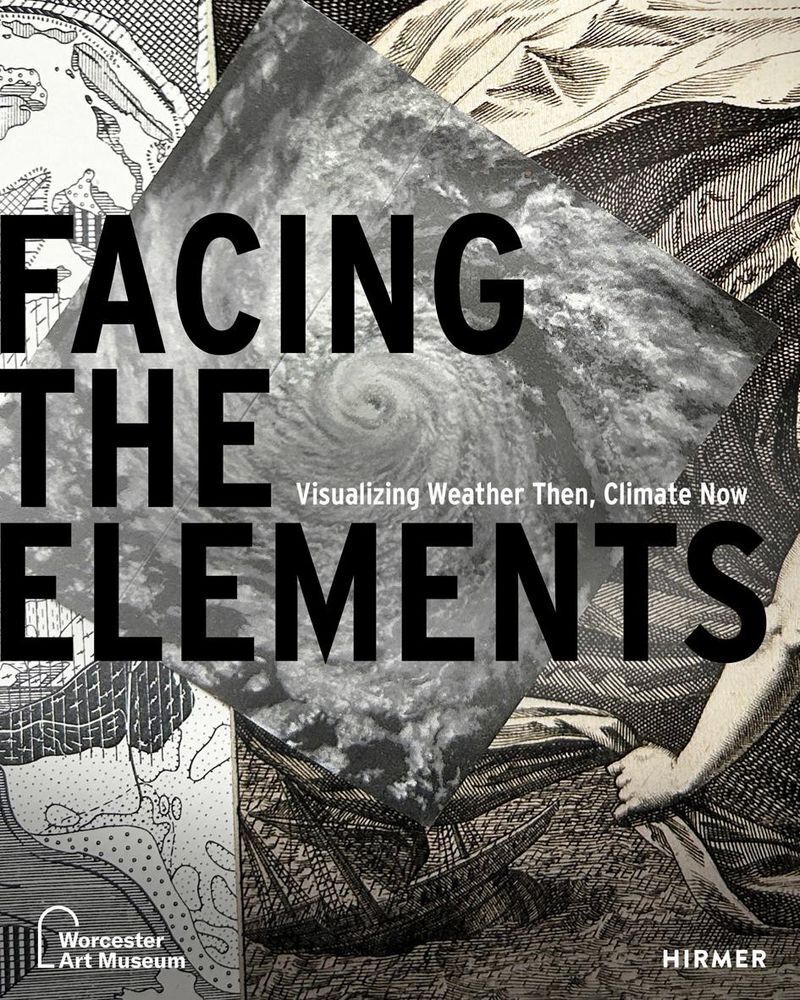Facing the Elements (Samantha Cataldo)