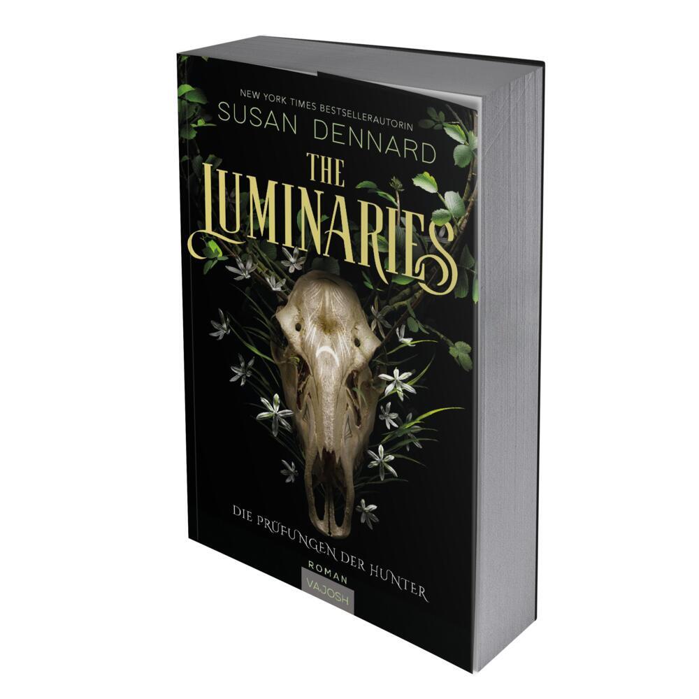 The Luminaries (Luminaries Band 1) (Susan Dennard)