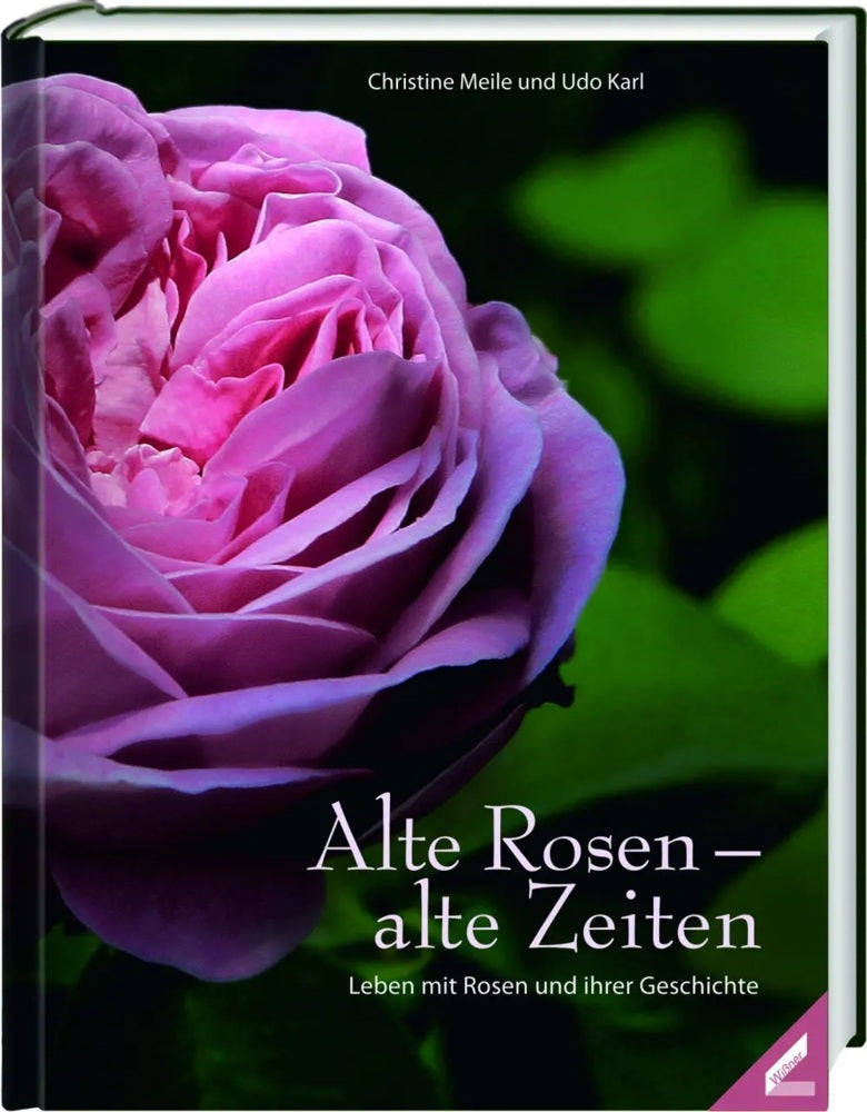 Alte Rosen - alte Zeiten (Christine Meile)