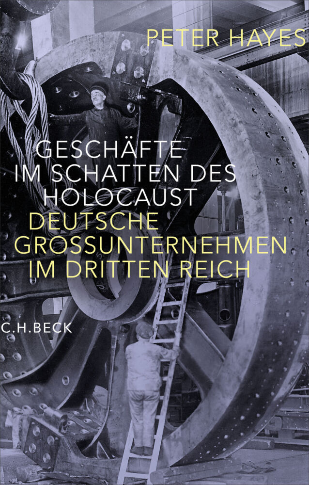 Geschäfte im Schatten des Holocaust (Peter Hayes)