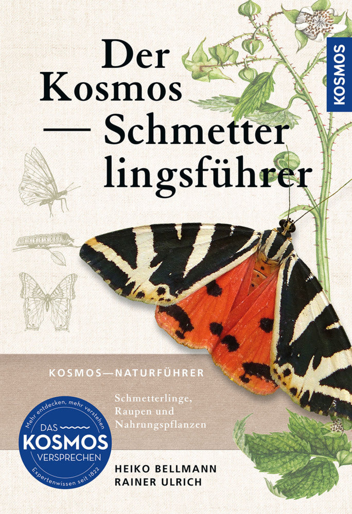 Der Kosmos Schmetterlingsführer (Heiko Bellmann)
