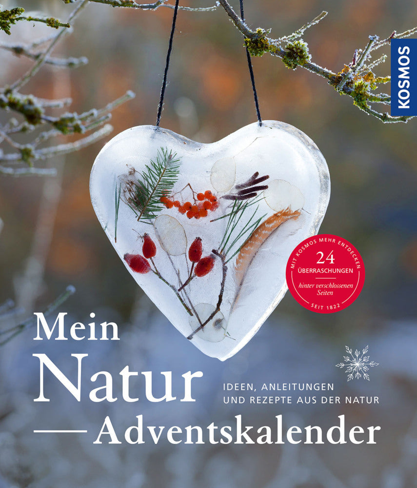 Natur-Adventskalender (Anne Rogge)