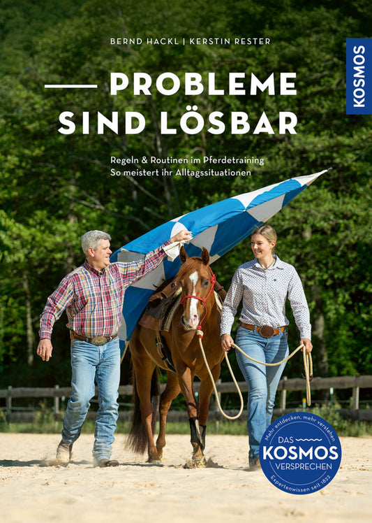 Probleme sind lösbar (Bernd Hackl)