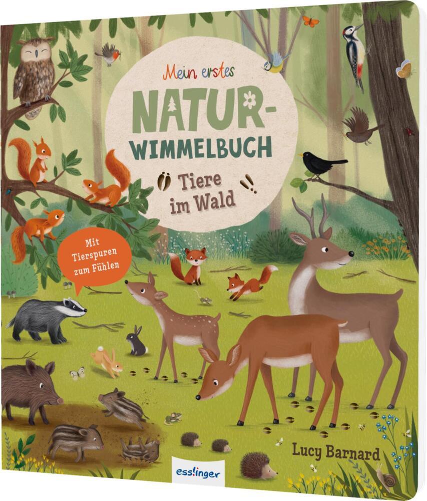 Tiere im Wald (Sibylle Schumann)