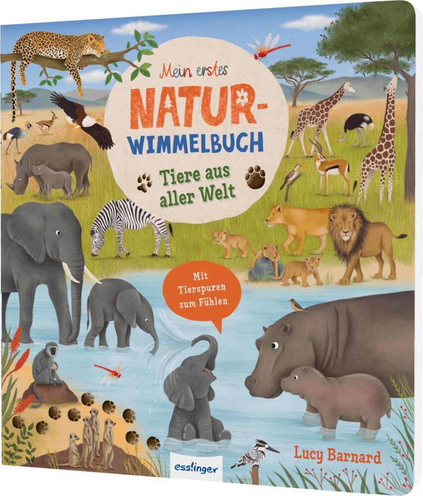 Tiere aus aller Welt (Katharina Lotz)