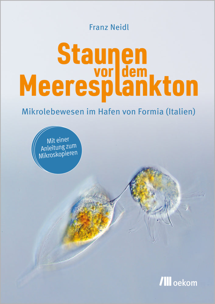Staunen vor dem Meeresplankton (Franz Neidl)