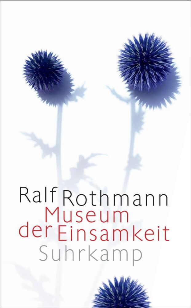 Museum der Einsamkeit (Ralf Rothmann)